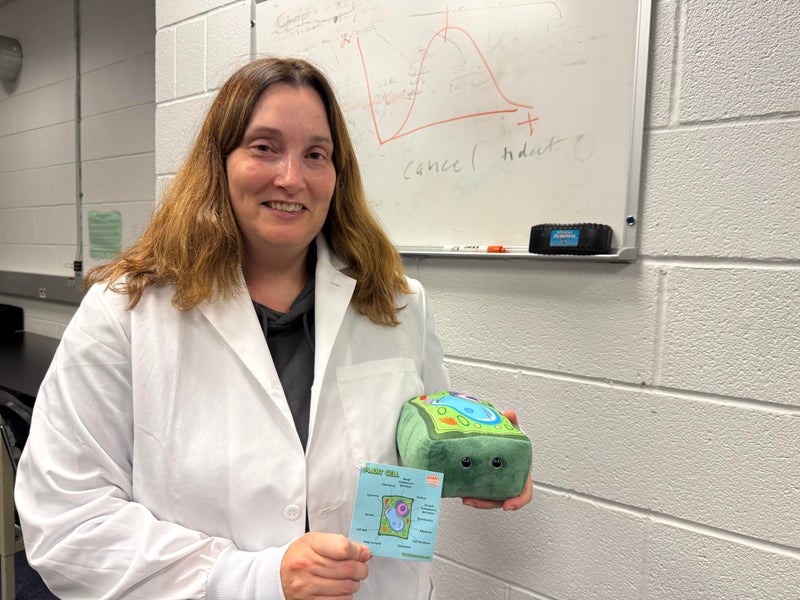 GIANT MICROBES Plant Cell Plush, Plant Cell Model, Anatomy Model, Plant Plush Toy, Cell Biology, Physiology, Biology Classroom Decor, Plant Anatomy - Image 1